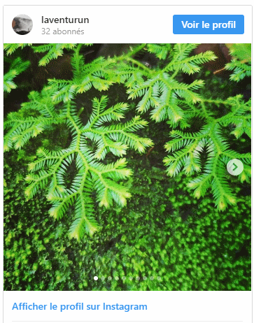 united-colors united-colors